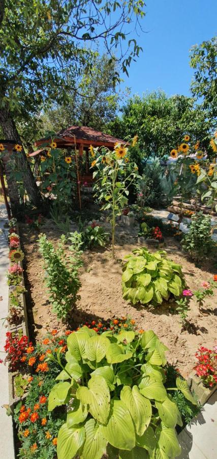Balla House Bed & Breakfast Tarcaia Bagian luar foto