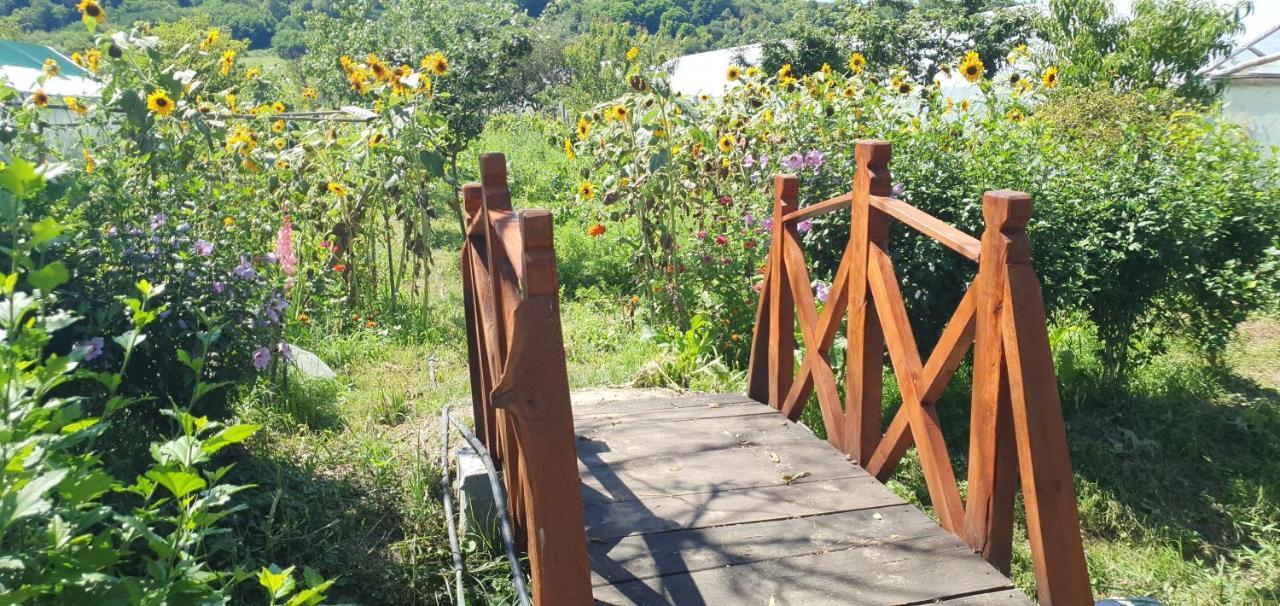 Balla House Bed & Breakfast Tarcaia Bagian luar foto