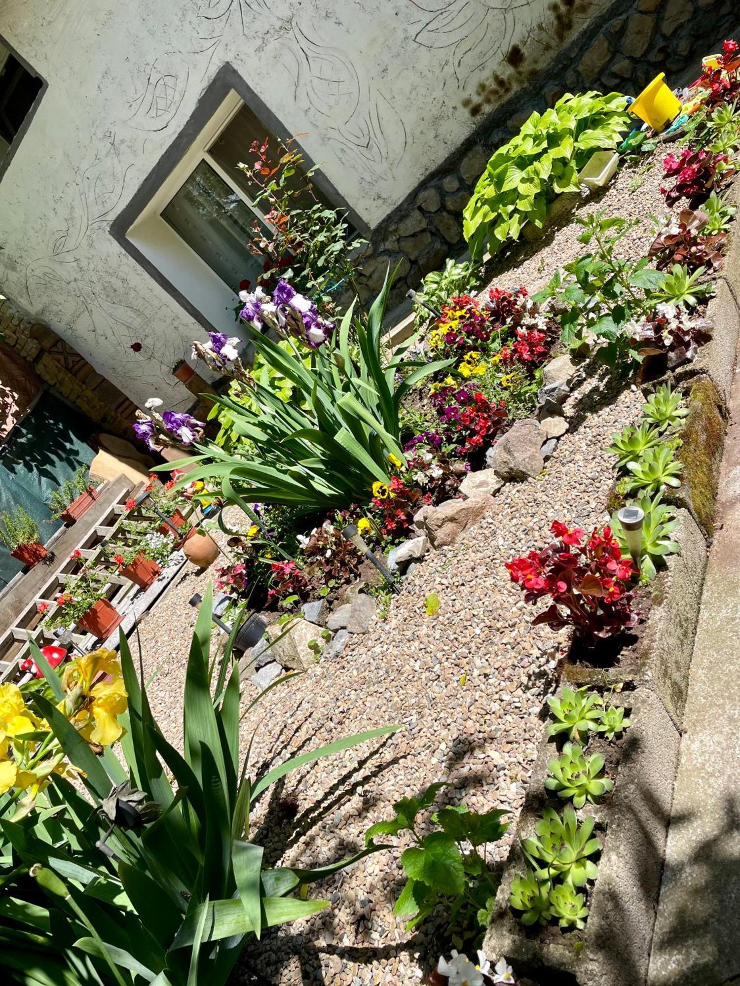 Balla House Bed & Breakfast Tarcaia Bagian luar foto