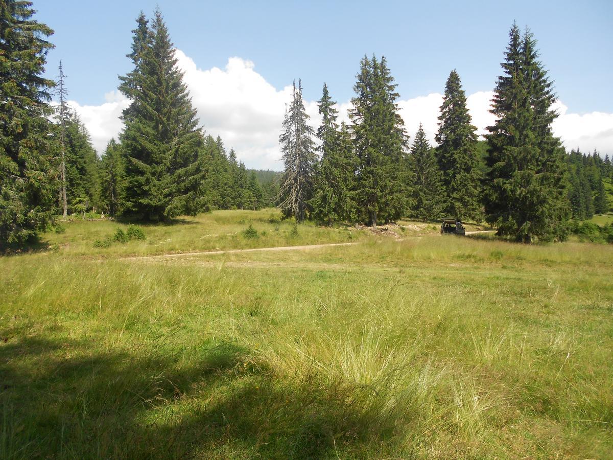 Balla House Bed & Breakfast Tarcaia Ruang foto